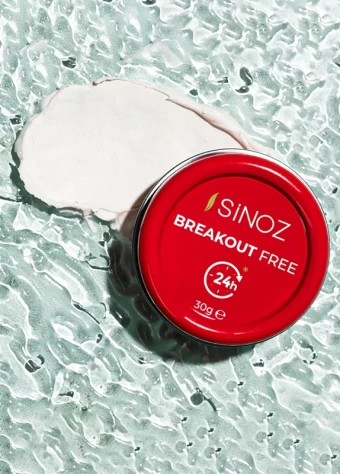 Sinoz Breakout Free  price in bangladesh