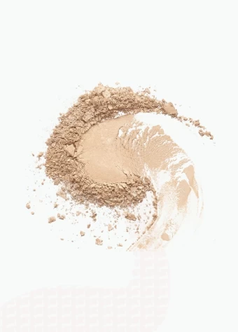 Topface Baked Choice Rich Touch Powder  price in bangladesh