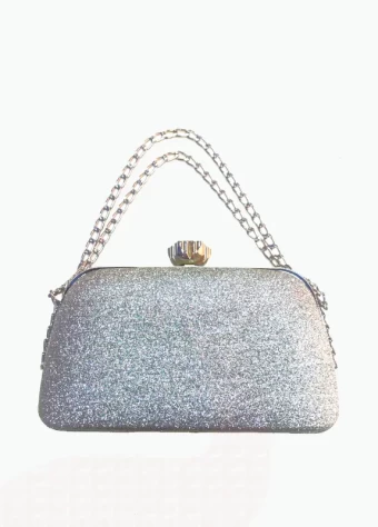 Women's Party Bag Silver Color  price in bangladesh